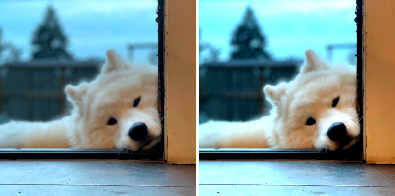 Comparison