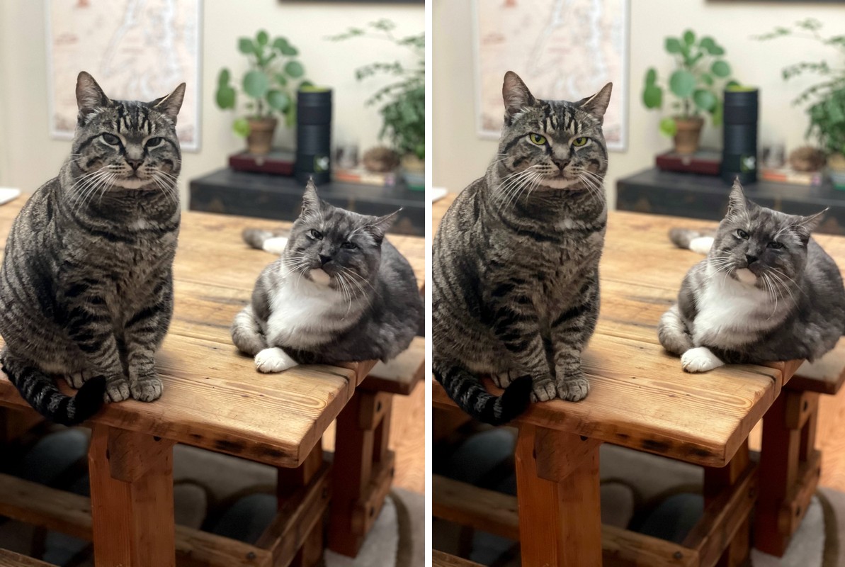 Comparison