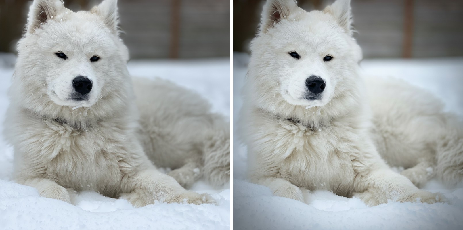 Comparison