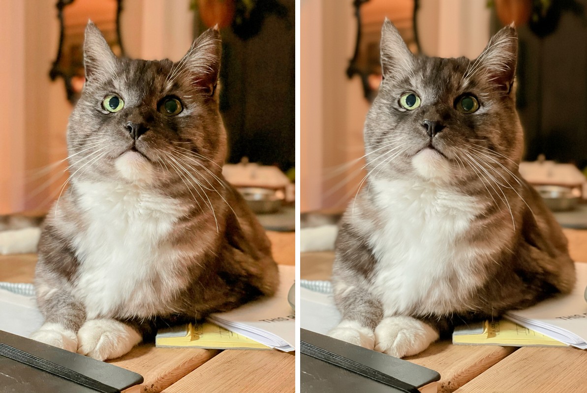 Comparison