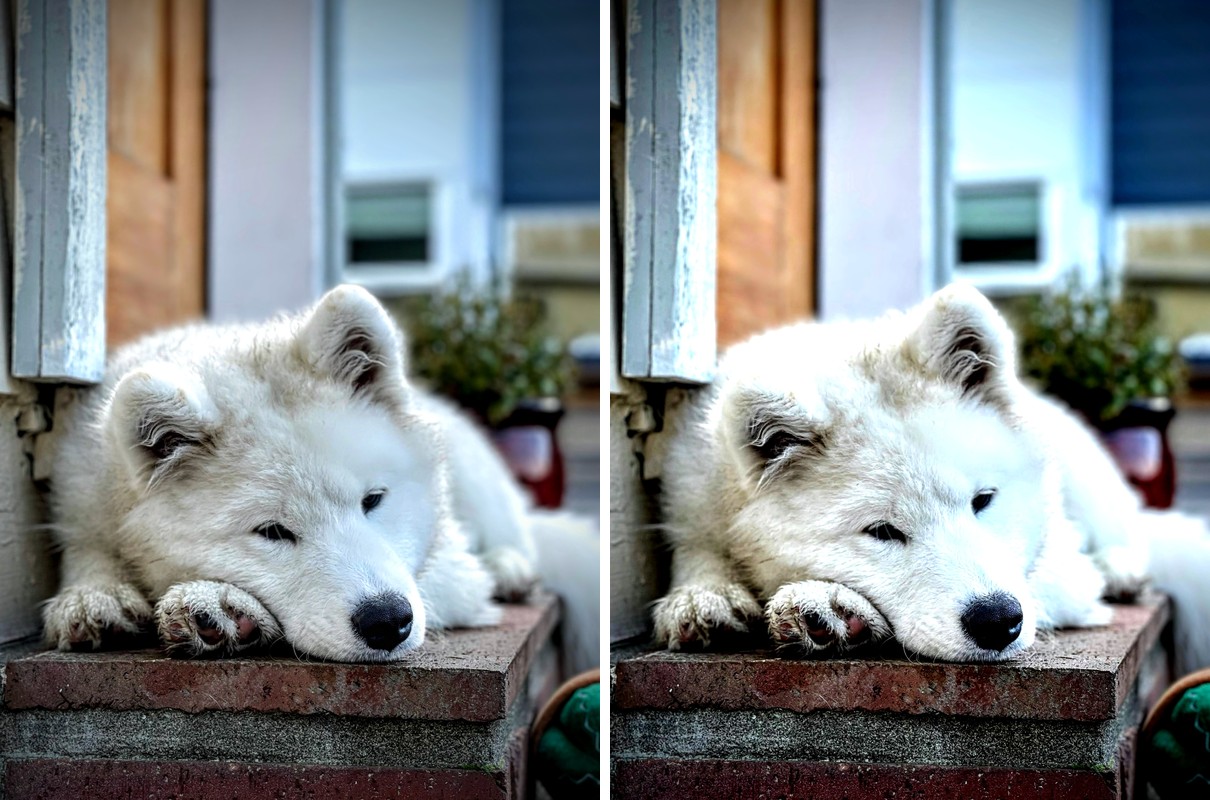Comparison