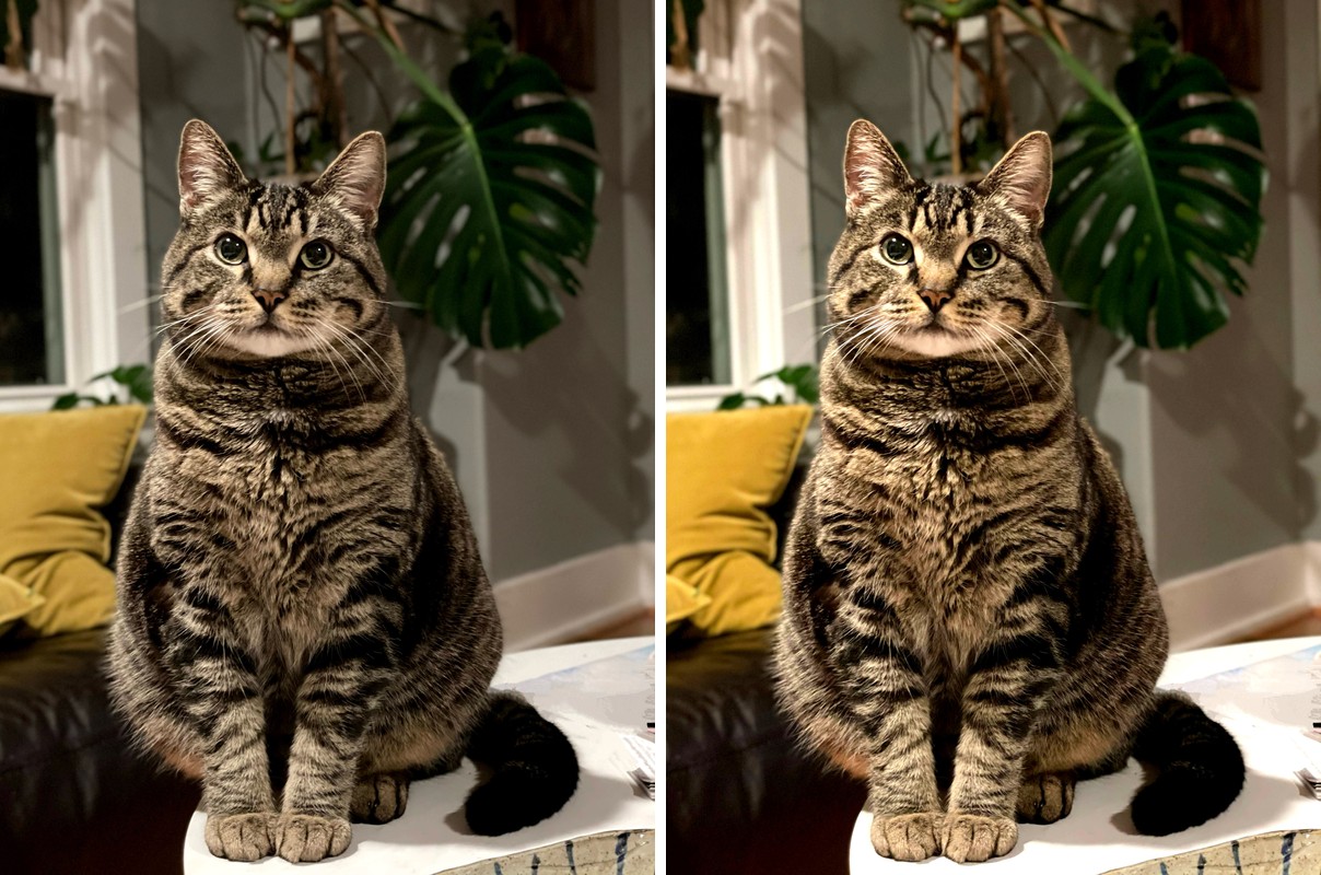Comparison