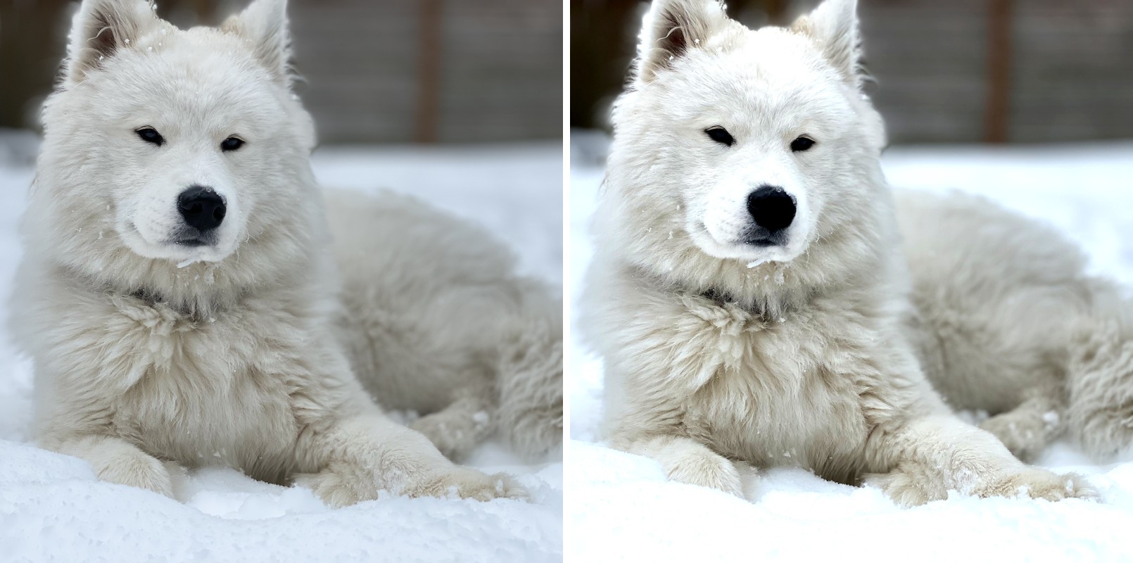 Comparison