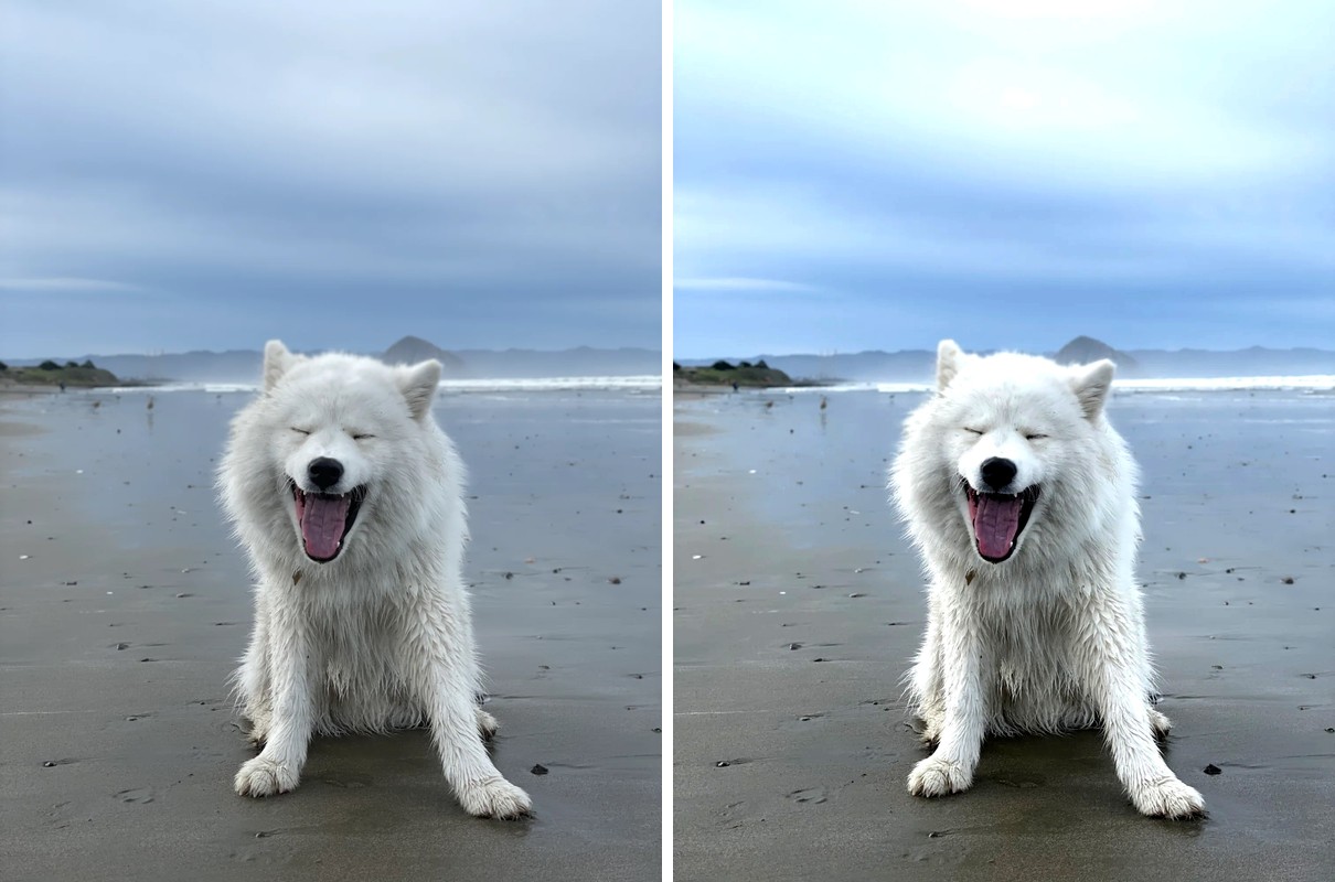 Comparison