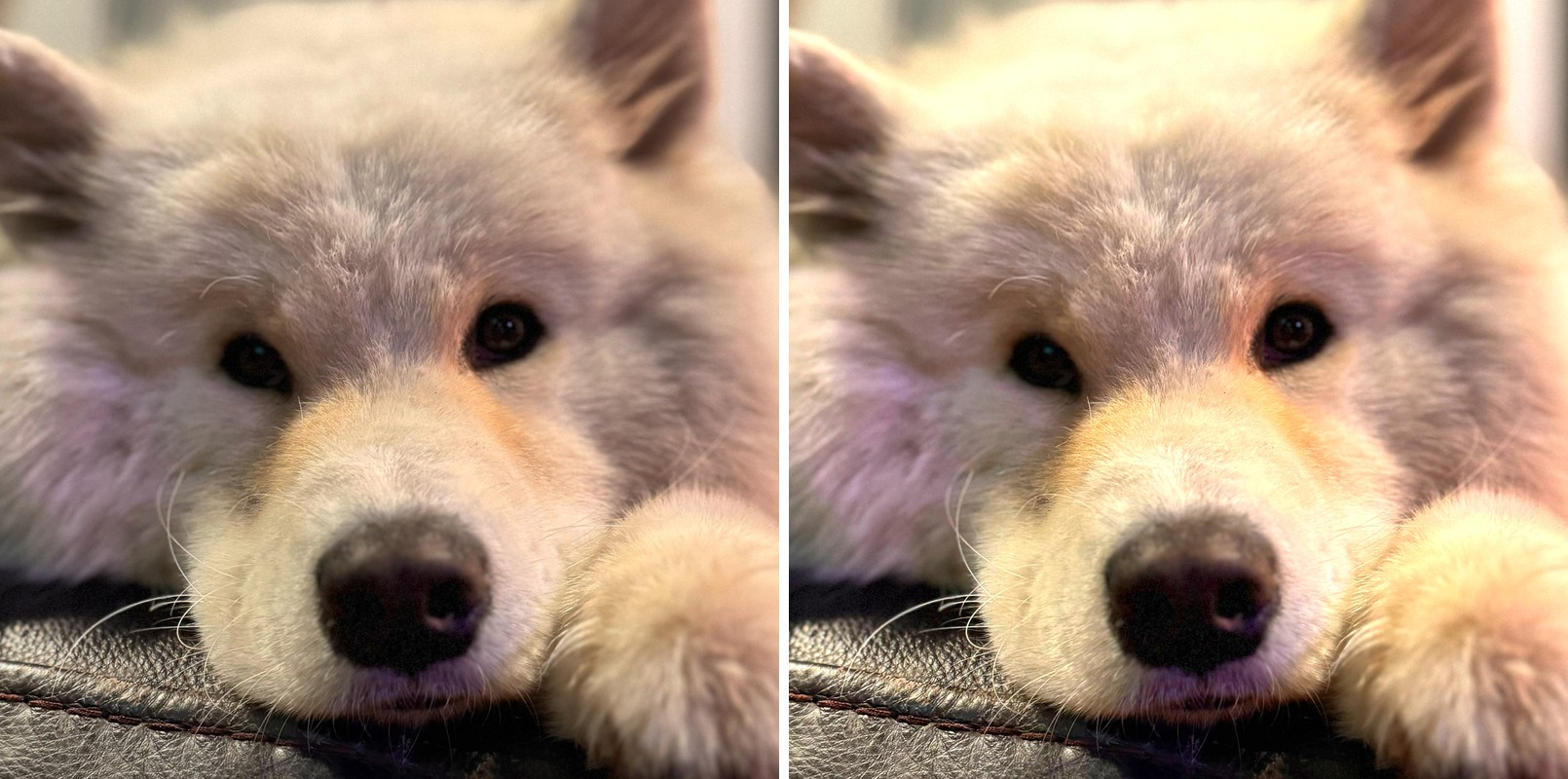 Comparison