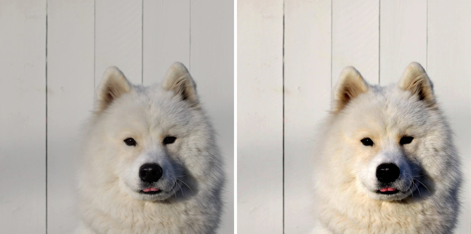 Comparison