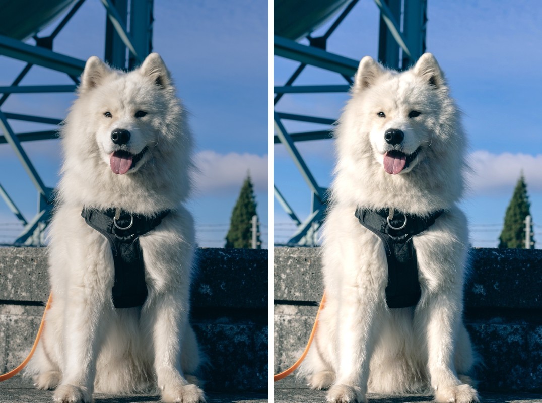 Comparison