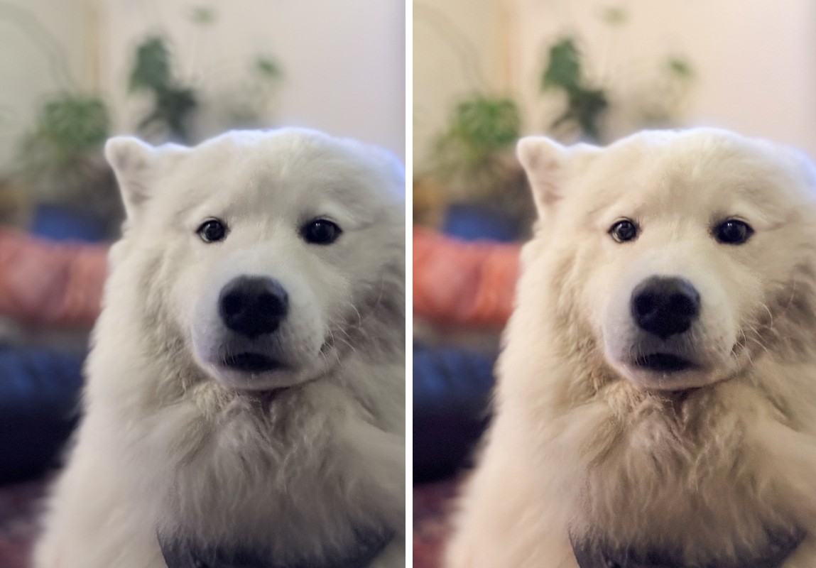 Comparison