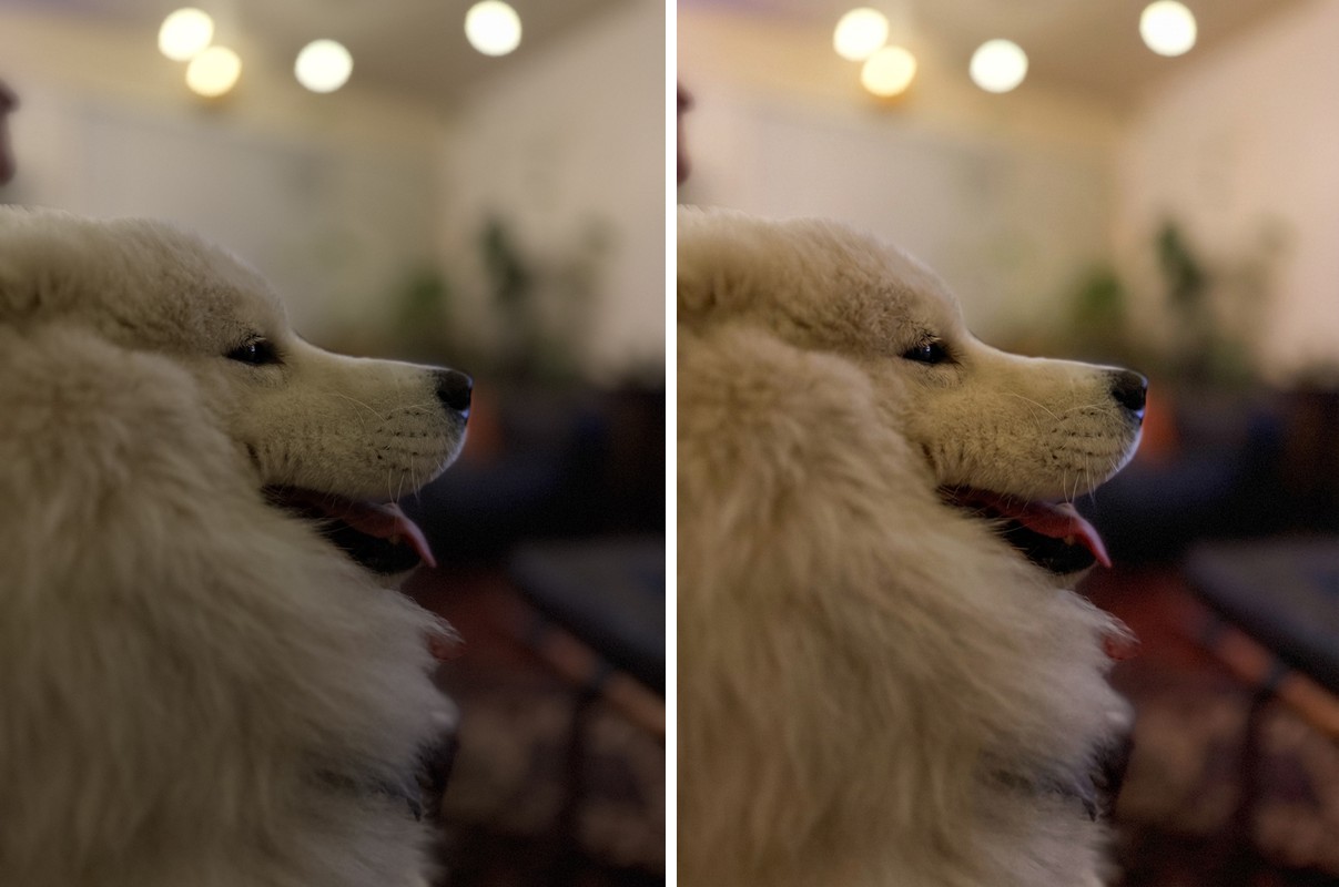 Comparison
