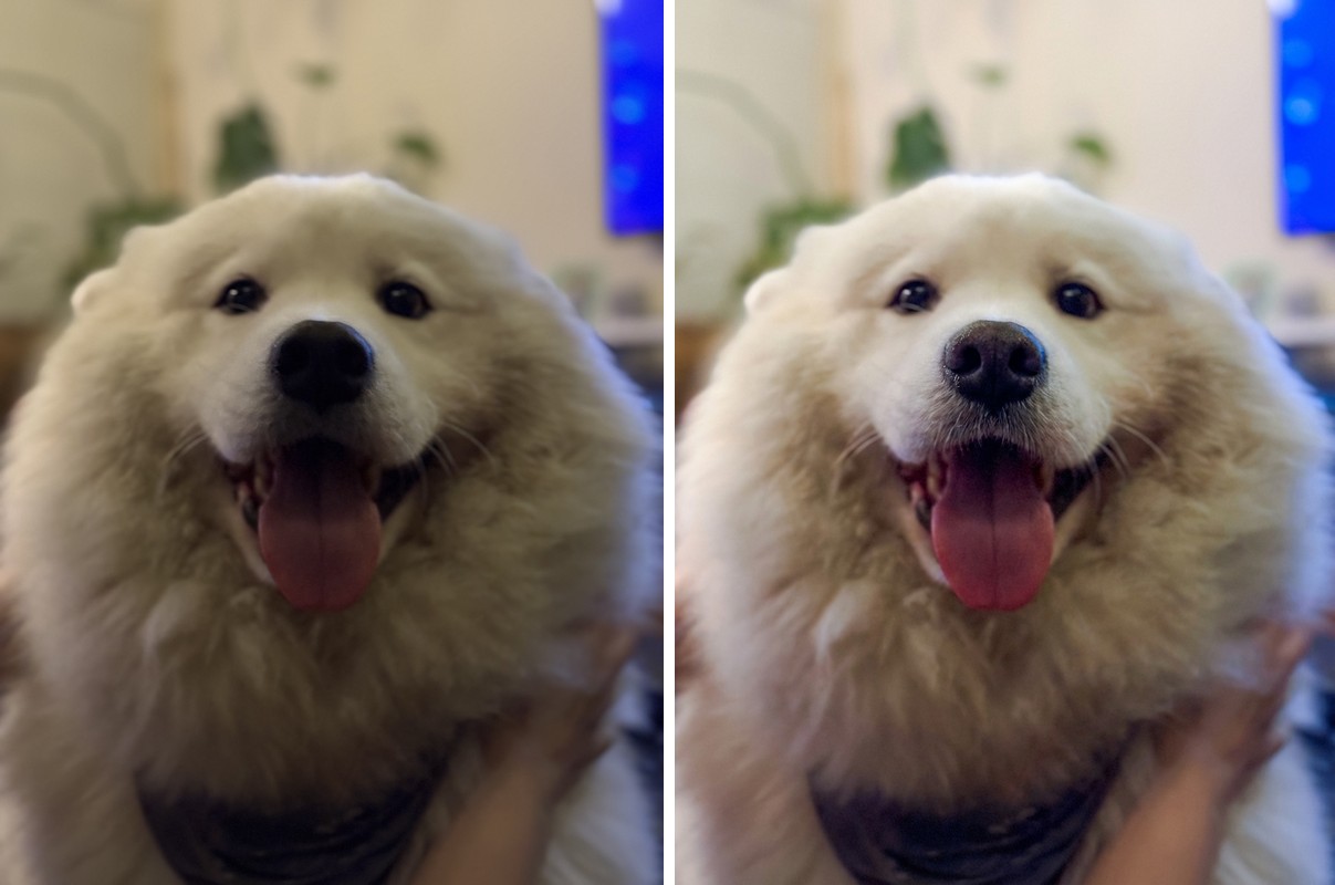 Comparison