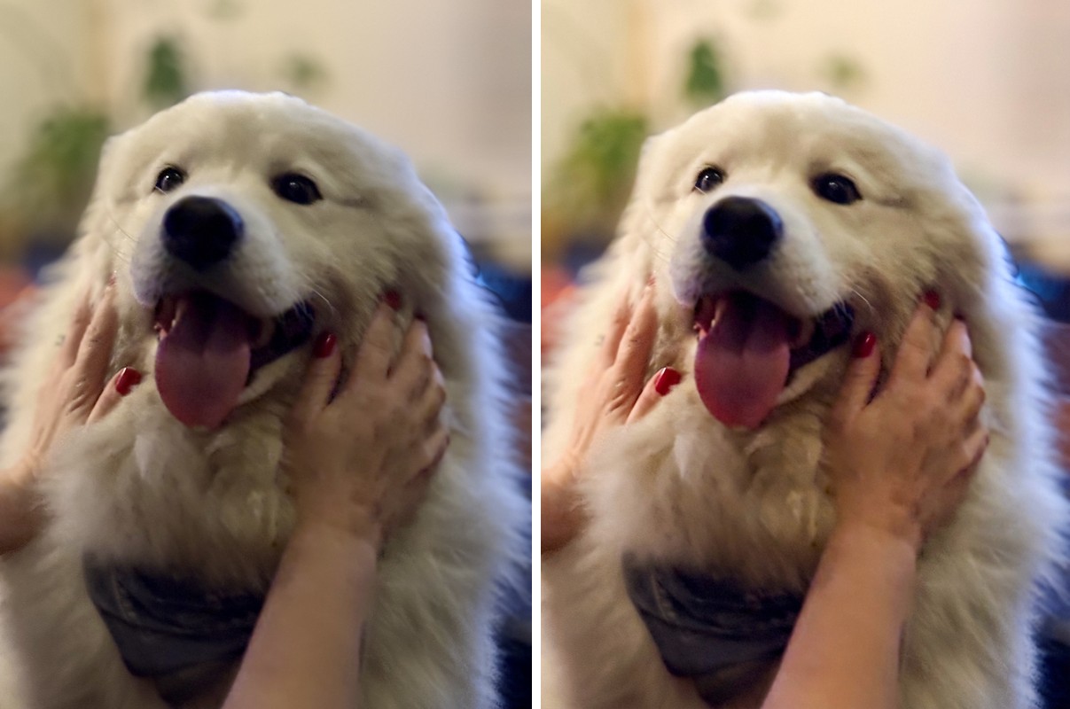 Comparison