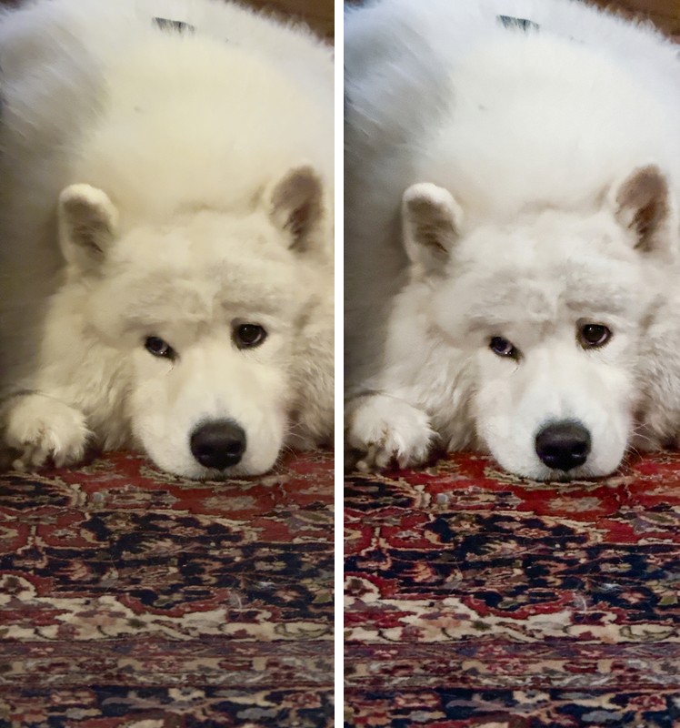 Comparison