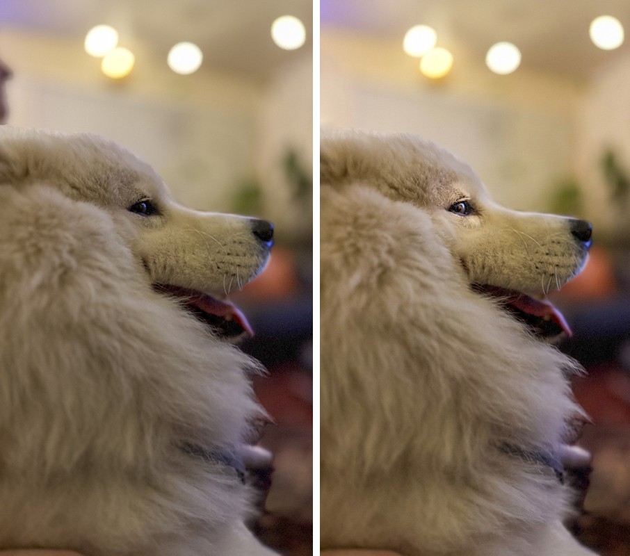 Comparison