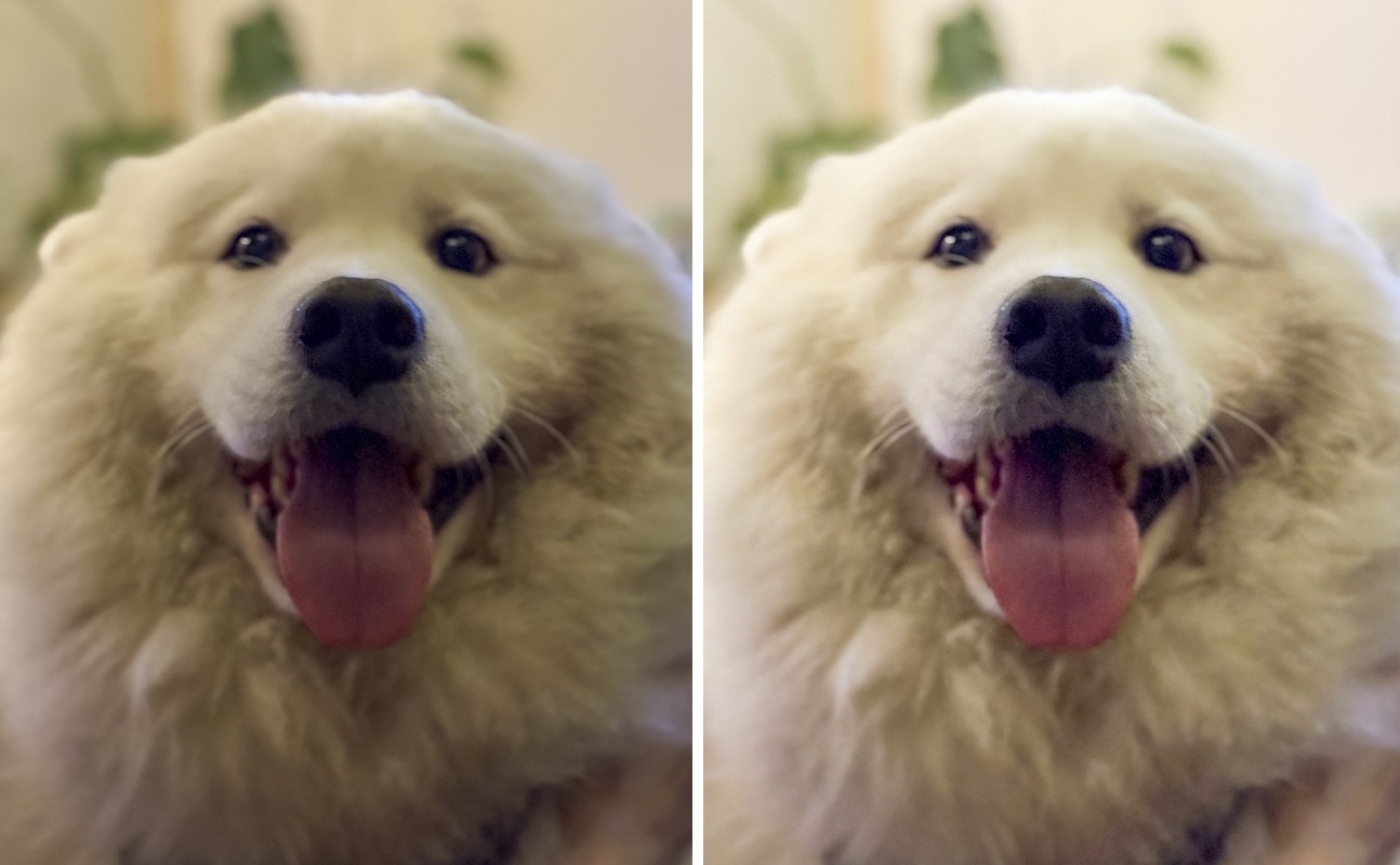 Comparison