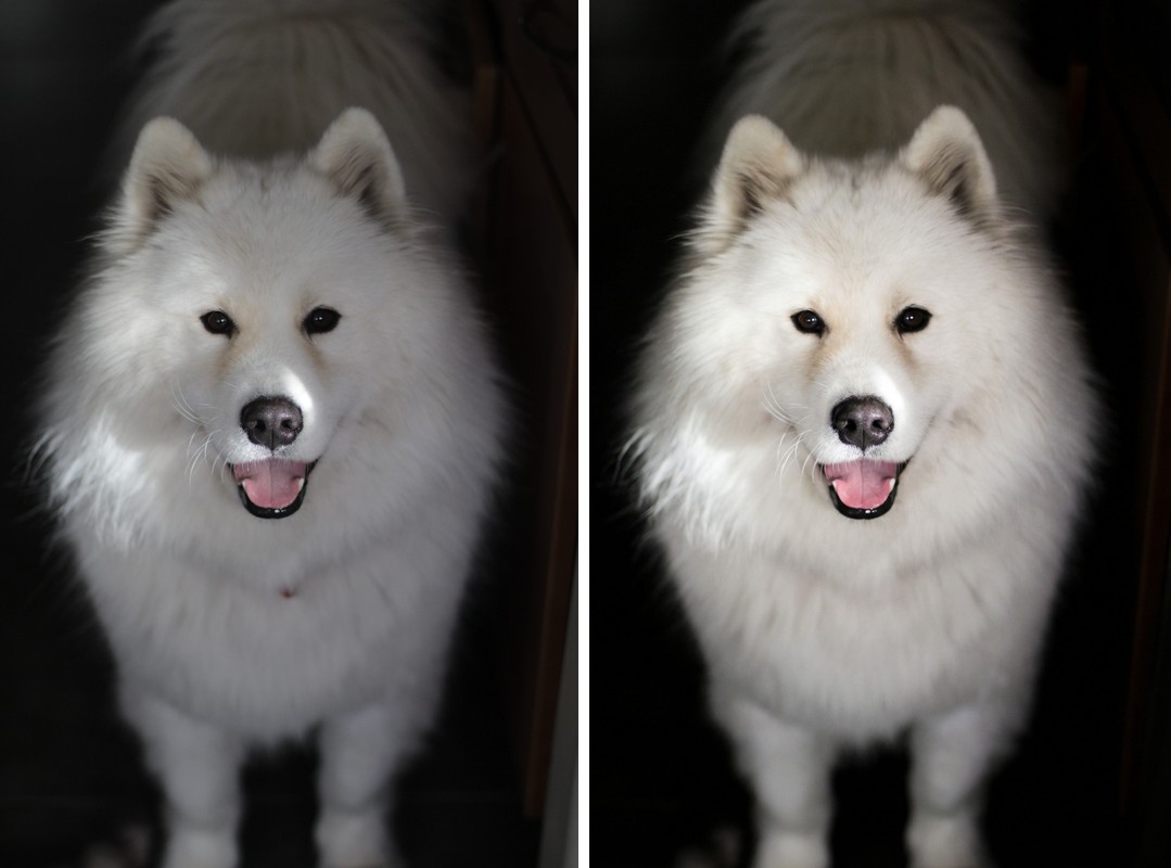 Comparison