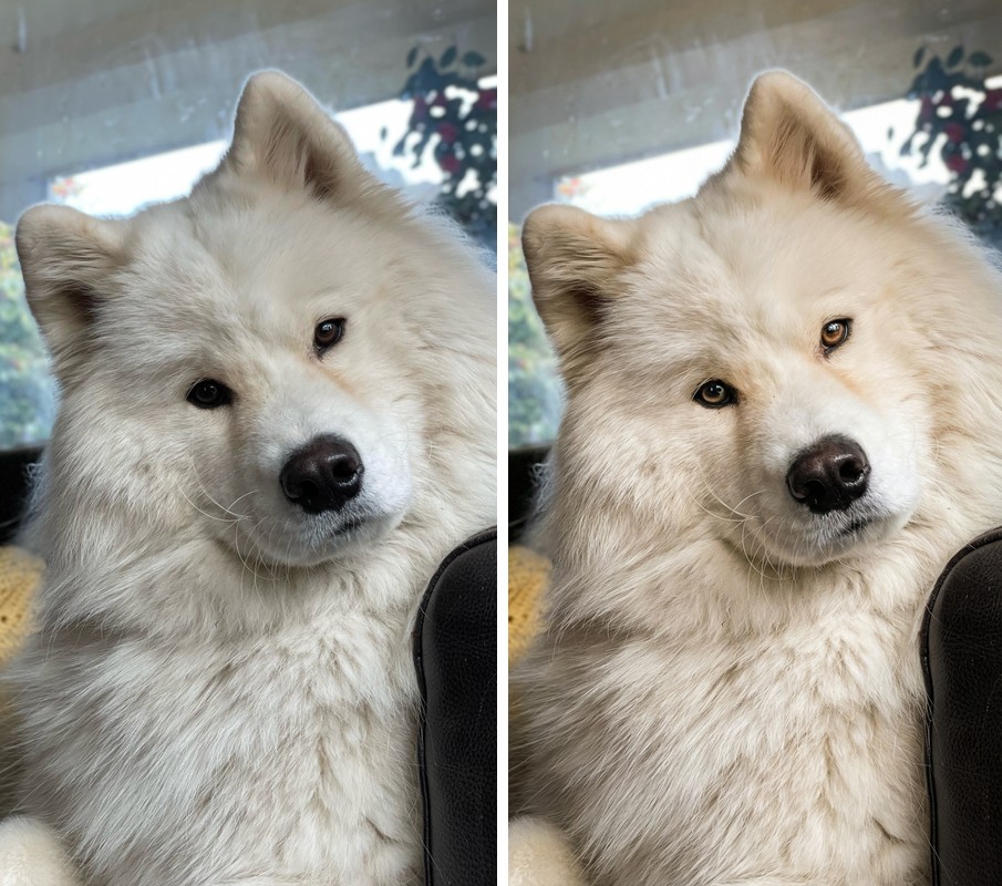 Comparison